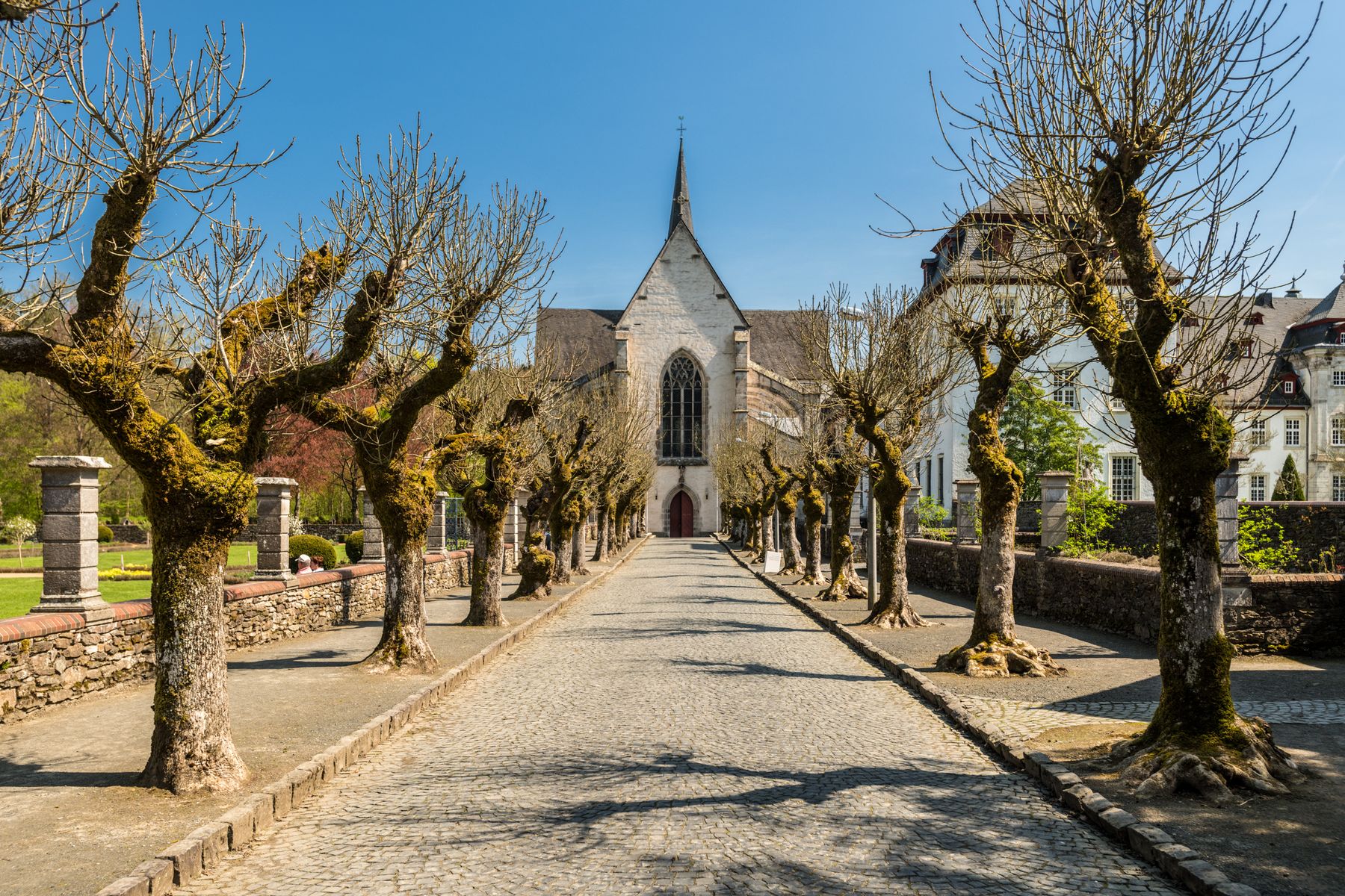 Ein kopfsteingepflasterter Weg, gesäumt von beschnittenen, blattlosen Bäumen, führt zum Eingang einer historischen Steinkirche mit einem hohen Kirchturm in der Mitte unter einem klaren blauen Himmel.